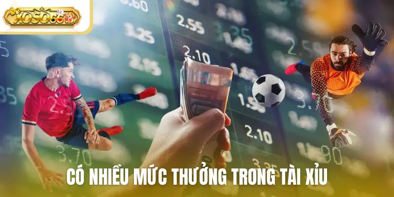Có nhiều mức thưởng trong tài xỉu