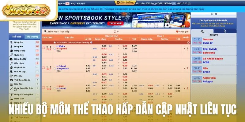 Nhiều bộ môn thể thao hấp dẫn được cập nhật liên tục